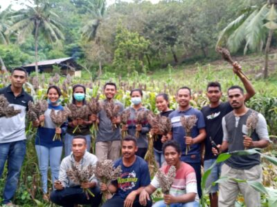 Literasi Pangan Lokal